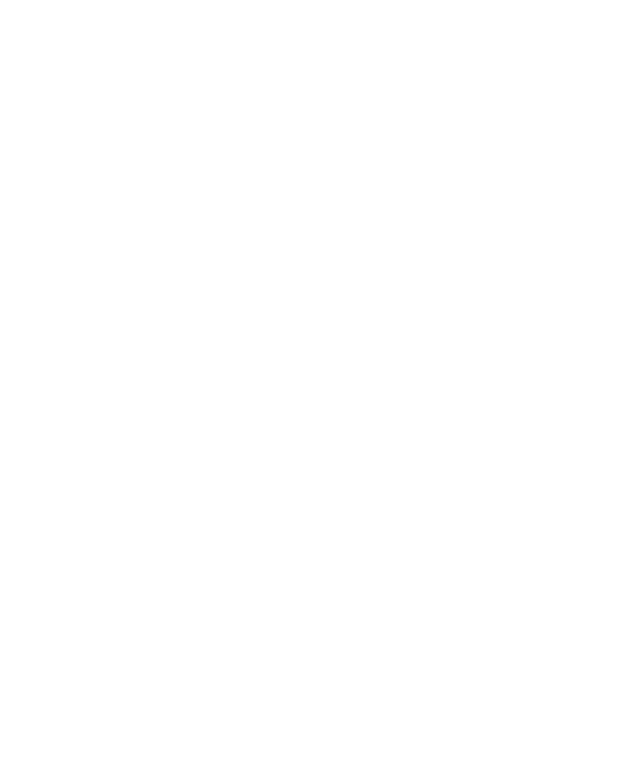 PayPal Icon